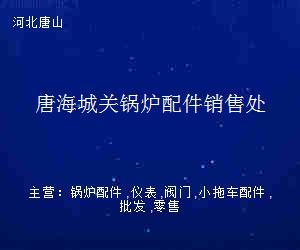唐海城关锅炉配件销售处